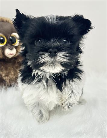 Gary
