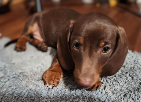 Beautiful Male-Axel