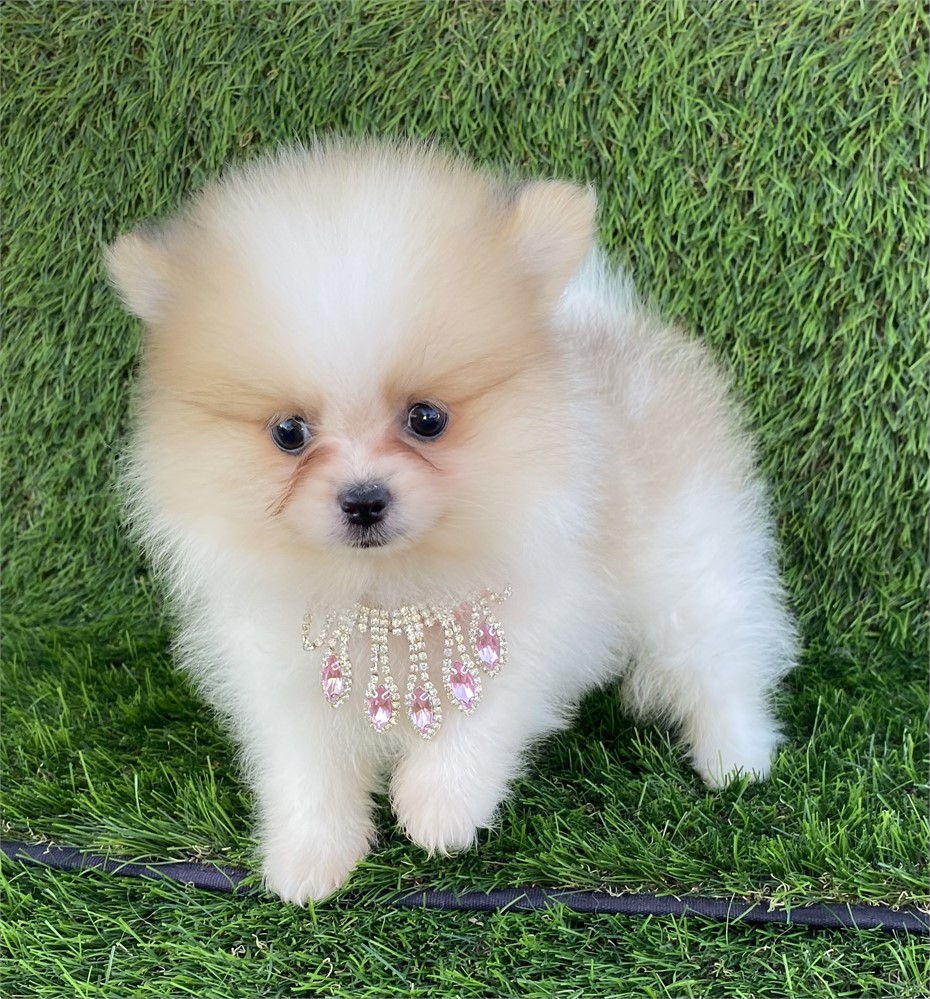 Valentina