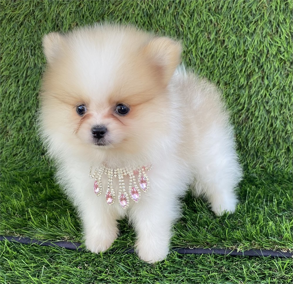 Valentina