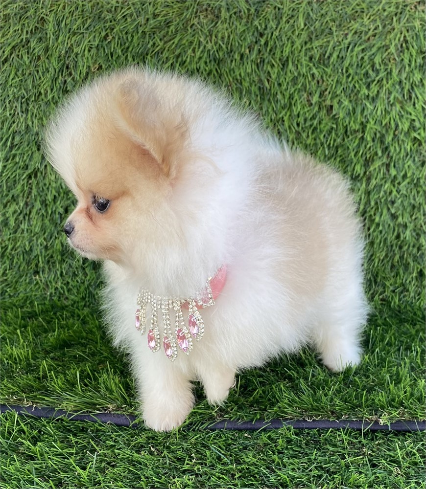 Valentina