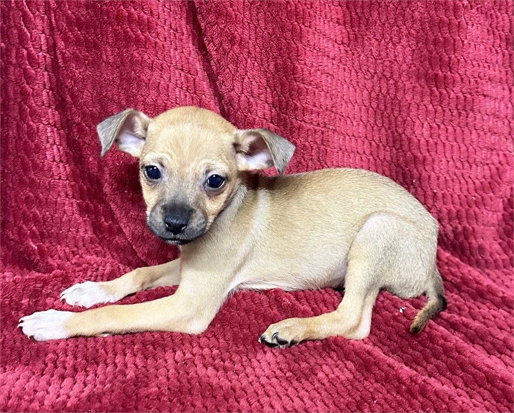 Baby 3
