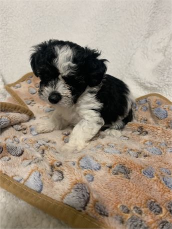 Candy!! Gorgeous!! Girl!!