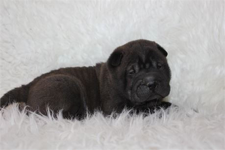 Don't let Butters slip by ya