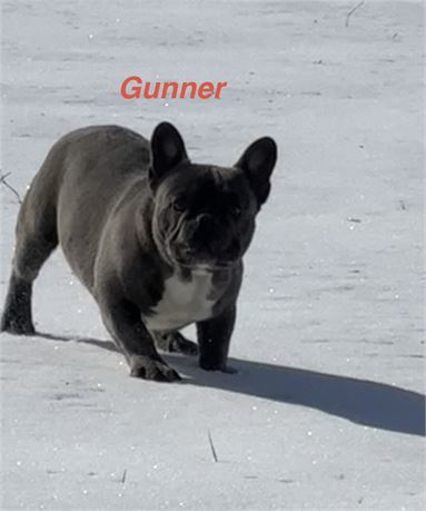 Gunner