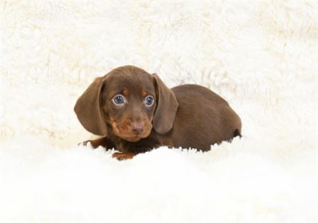 Lady 4 ~ Gorgeous female ~