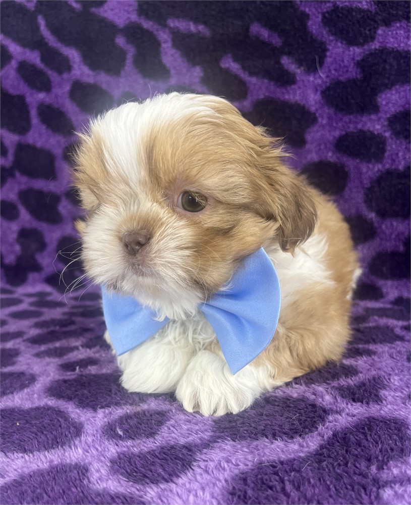 Barkley