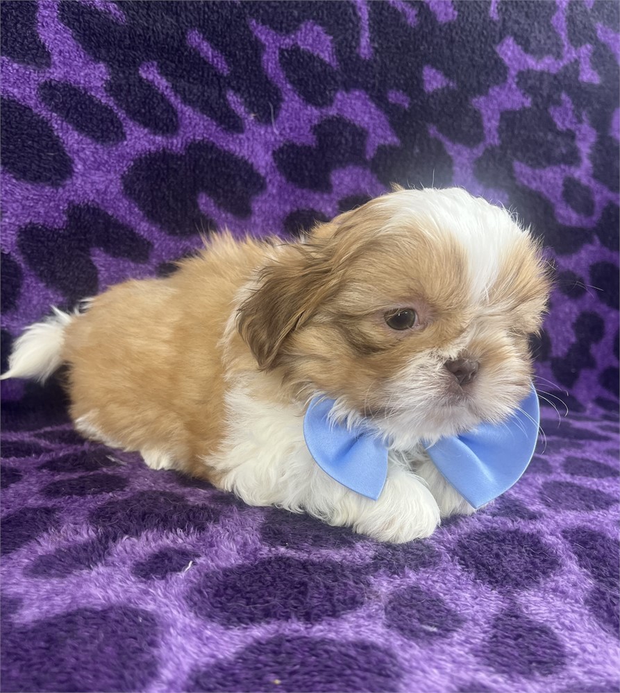 Barkley