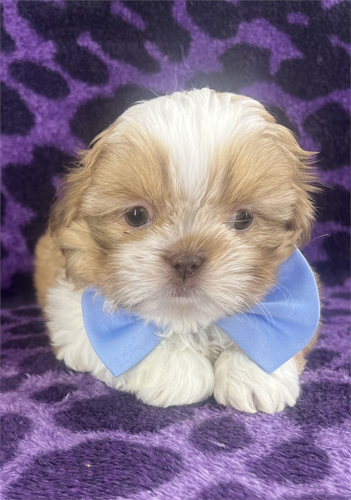 Barkley
