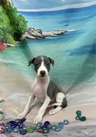Male I.G. “Keanu”