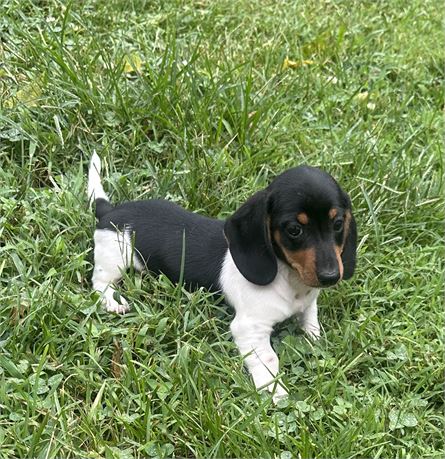 Gorgeous Little Boy
