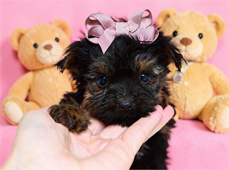 Tiny Female 2