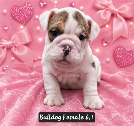 6.0 Female