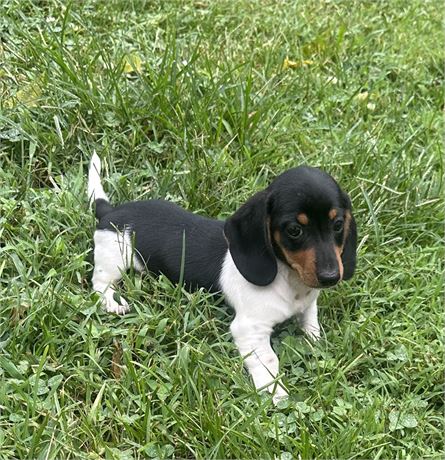 Gorgeous Little Boy