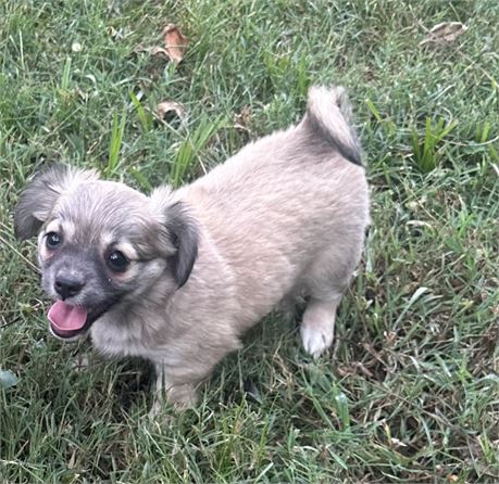 Friendly little baby girl