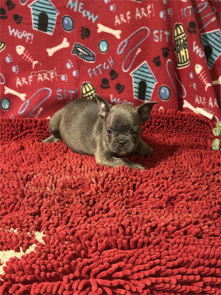 Ricky